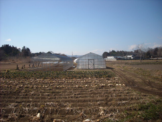 DSCN2649