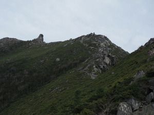 IMG_0413
