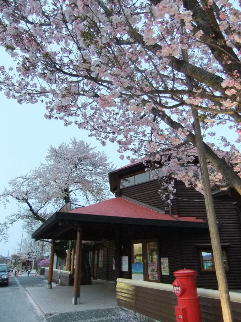 BlogPaint201204桜