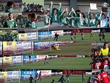 f04e8a54.jpg