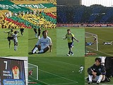 09138f78.jpg