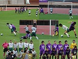 f2461274.jpg