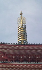 37255044.jpg