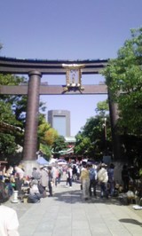3c8549b0.jpg