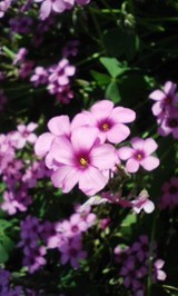 4694f2a8.jpg