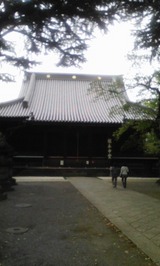 bd5c698a.jpg
