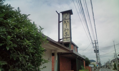 20110702113302