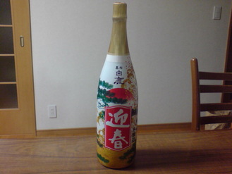20100102202301