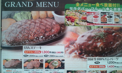 20110523130554