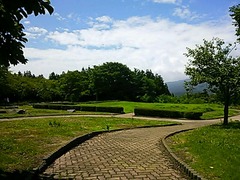 DSC_1903