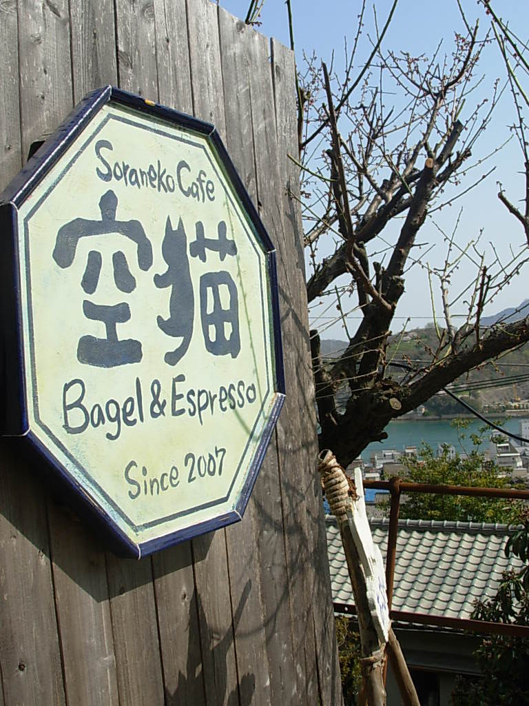 DSCN5963