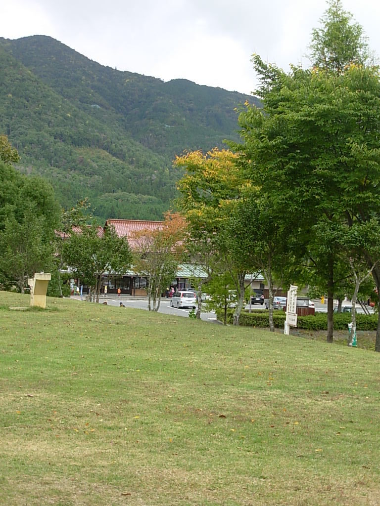 DSCN5745