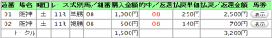 20070331hs11.png
