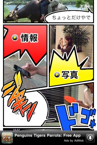 080786b8.jpg
