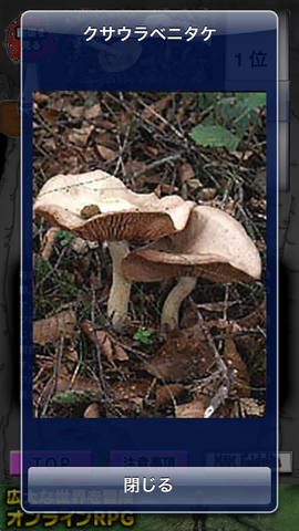 12d82b36.png