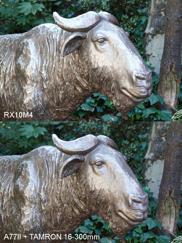 rx10m4-004