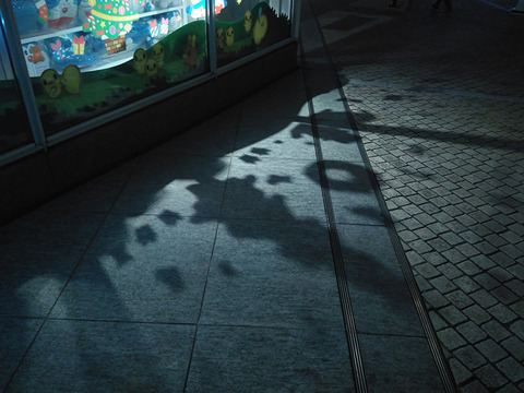 07