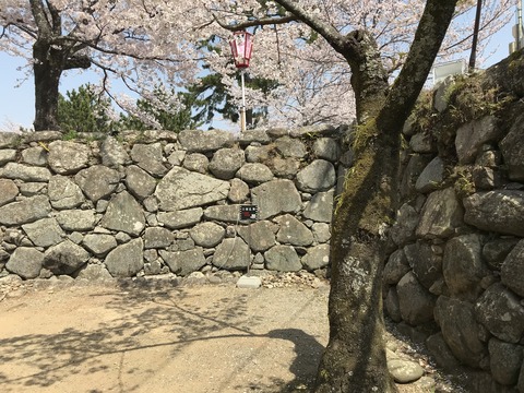 松阪城7