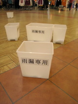 2a01c591.jpg