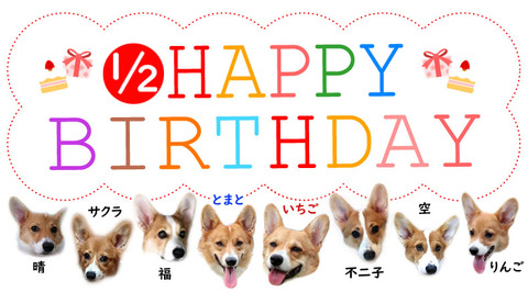 happy birthday