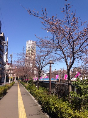 2015-03-25-10-32-52