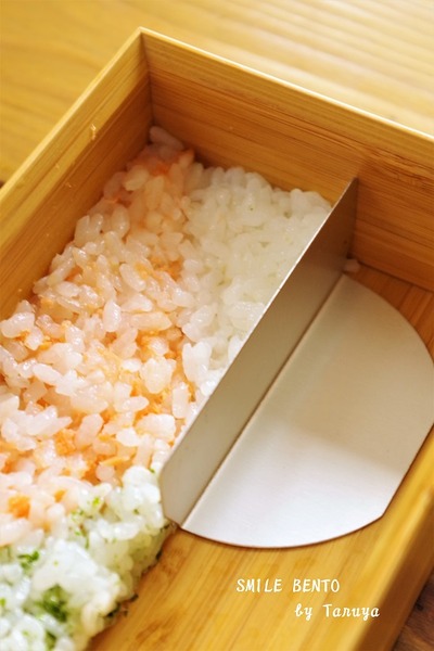 hina-koutei01-logo