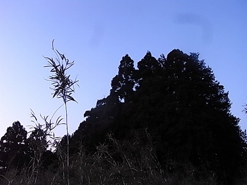 R0019295