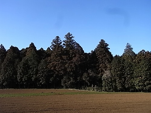 R0019232