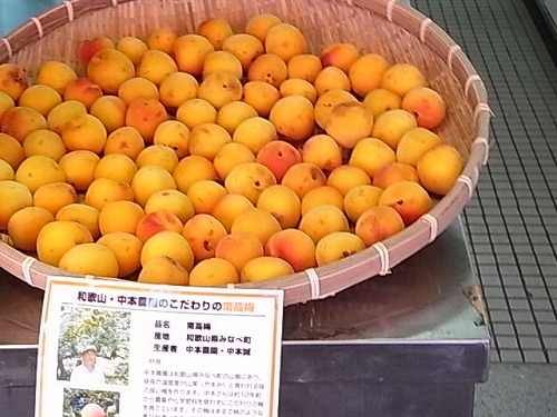 RIMG2838