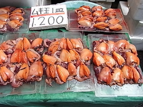 RIMG2792