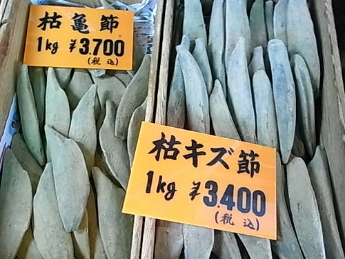 RIMG2832