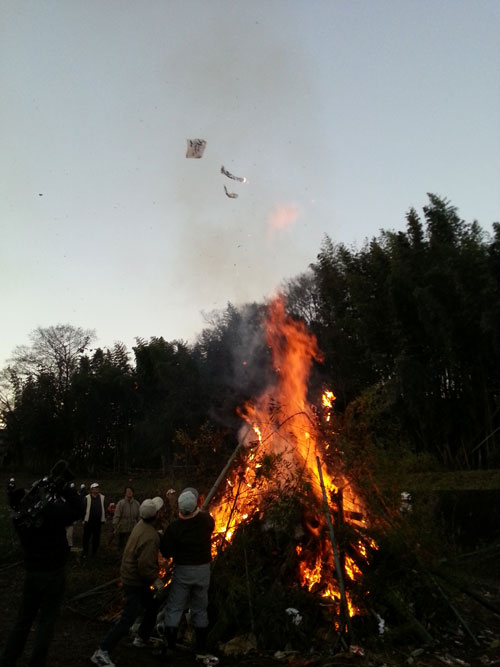 2017º¸µÁĹ3