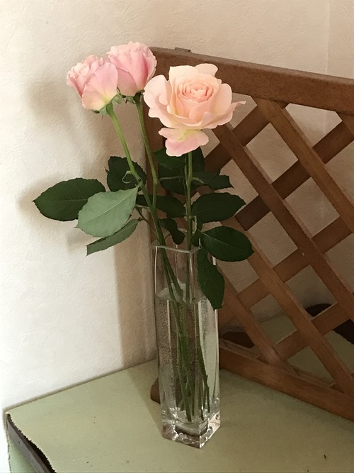rose