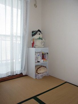 558UP_1