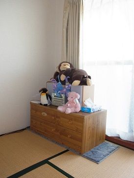 559UP_1