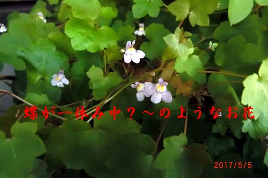 ̾¤Ï¡©¡©¡©¡©