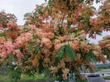 4d13f915.jpg