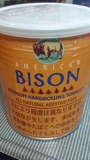 bison1