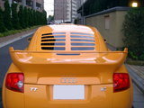 TT01