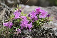 IMG_8199ebr