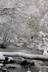 f4f72076.jpg