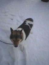 050128_0844~01.jpg