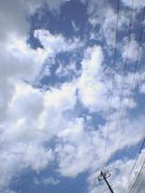 040613_1316~01.jpg