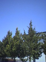 050419_0858~01.jpg
