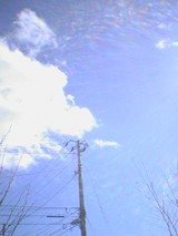 050211_1124~01.jpg
