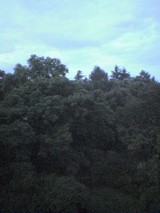e2394d21.jpg