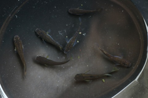 20180712140242_IMG_6916