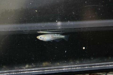 IMG_20180121_065256_466