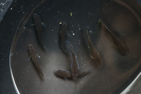 20180712140247_IMG_6917