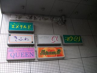 DSCF1066